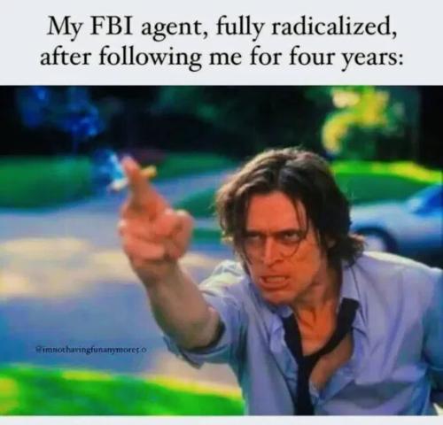 my-fbi-agent