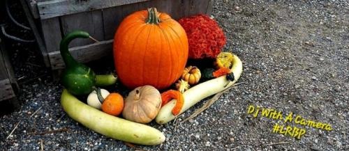 Screenshot_20251030_075949_Gallery