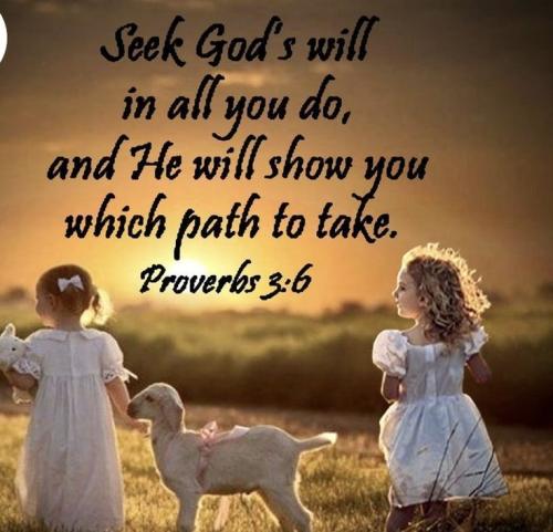 8614b2c552f0009d63a488c45b3fd355