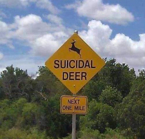 Screenshot_20251025_070727_Gallery