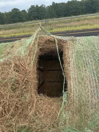 Busted hay filled with illegal aliens