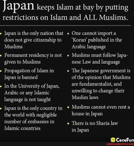 ede12c1ea4d38366461e487d5ea3f37c9c5f4dee553af8951d52c43dc0ee8e74_1