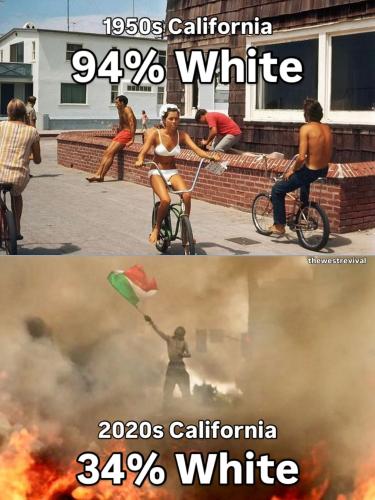 IMG_20251029_005451_196