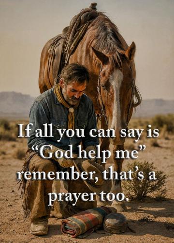 0d7b1aed25d552b9507978e67ad5d8c0