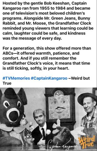 a2036bac06a0de4f7eaaa53392b73071