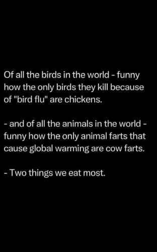 2 things we eat the most