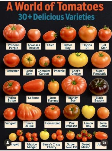 7e4145ec204e73b80fdd2404c5ecc175