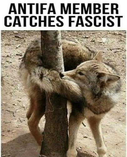 IMG_20251026_130940_731