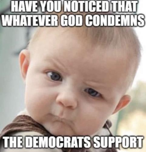 fbec26fe-9543-4b20-814f-e8ffc1411028