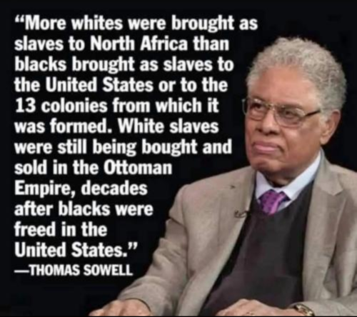 Screenshot_20251029-185555.Wimkin Free Speech Social Media