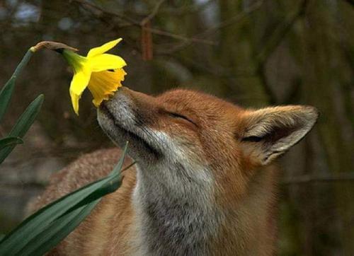 FB_IMG_1615347820224