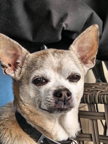 ca8c7d56-276a-4d66-b5fc-595143a79543