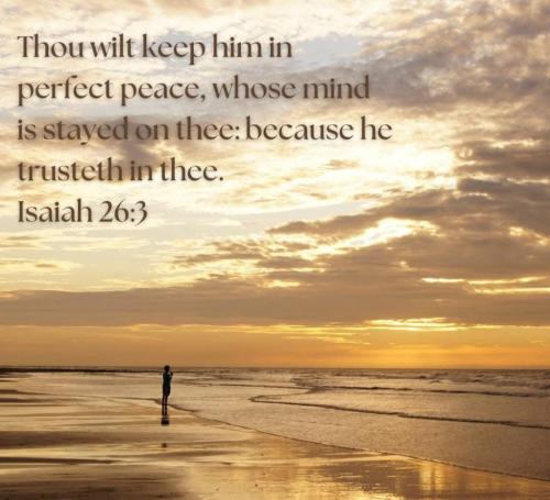 df85a0e7-3a3d-4720-84d9-a31a99d30bee