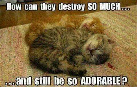 6cbca4227ecffc8de11961a2a6f73a99