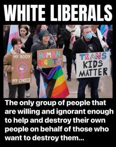 069f319a-7a63-4062-9e4a-c4387ef8d2c9