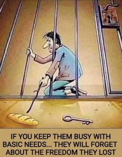 91a8fa3f-200f-4666-8ff6-671a7fb88b3d