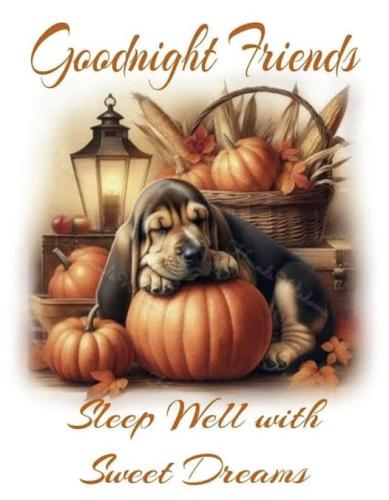 550113917_24573448648979098_4157099254342777665_n