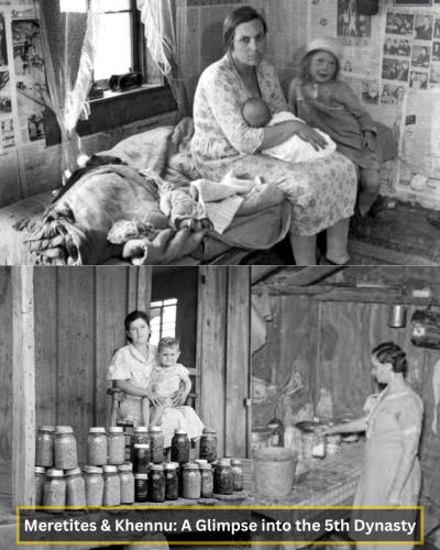 519631809_713849125038803_480924749656105838_n