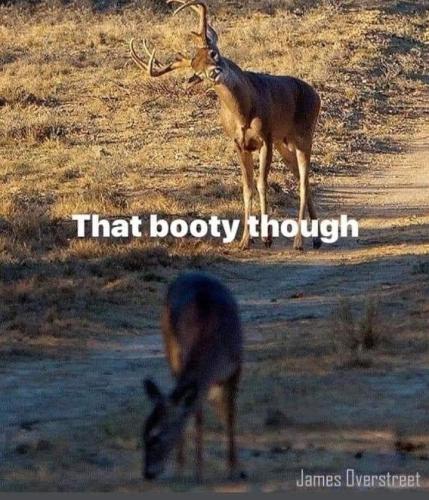 Screenshot_20251007_145013_Gallery