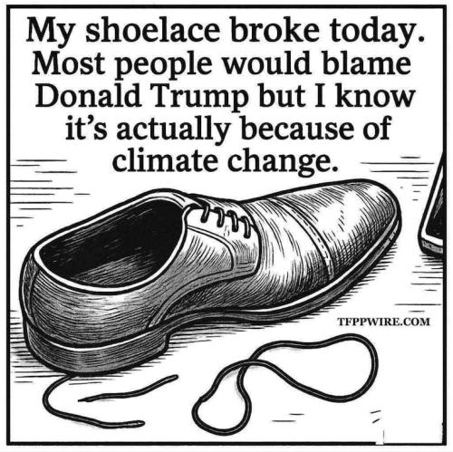 50d51f7e0ee9bf84169579b9e178599f_768x0