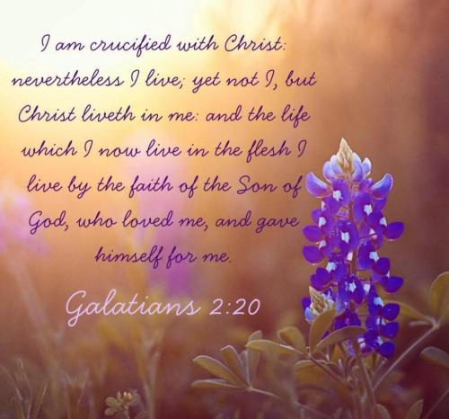 41e6731c-583e-442a-9566-07351ea3057b