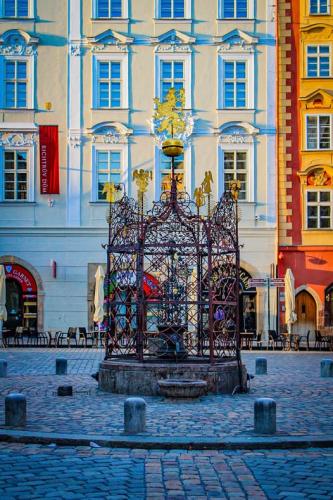 557910694_2754366001596377_4432152866004692251_n