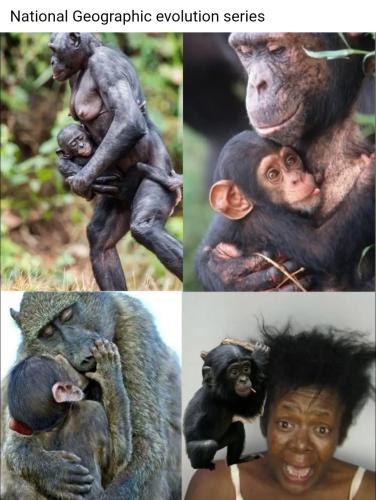 Screenshot_20251016_154630_Chrome~2