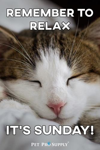 e03752c41266a228d741fa6dc13bfebb