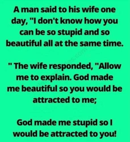 stupid-and-beautiful