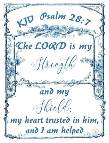 482ebc59-9ea6-43a7-b9e5-f4b01cdca965