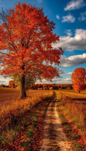 557633349_10235634363271091_7701703741758897034_n