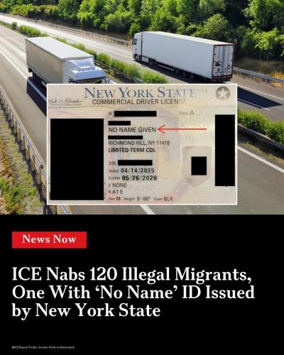 Illegal aliens are issued this