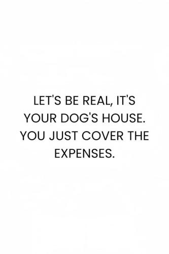 572423c0349b849dbf5254fe9dfdd5ff