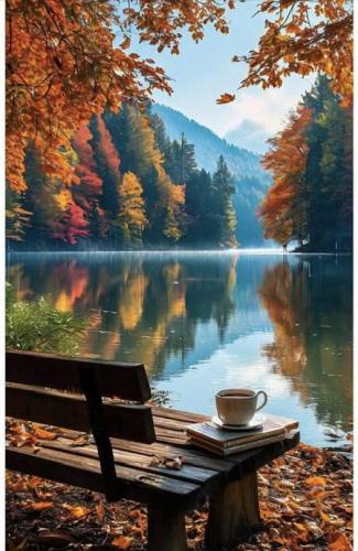 546426197_24521732760817354_7377753293628961887_n