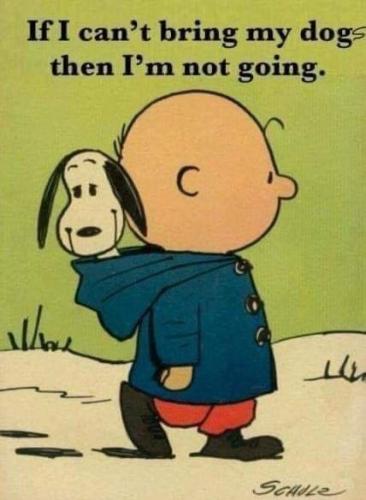 FB_IMG_1653943833193