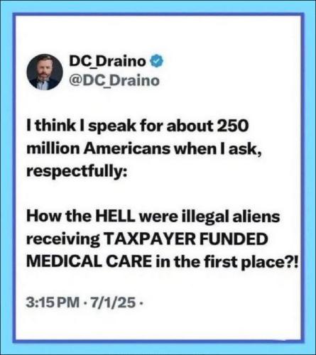 illegal immigration519