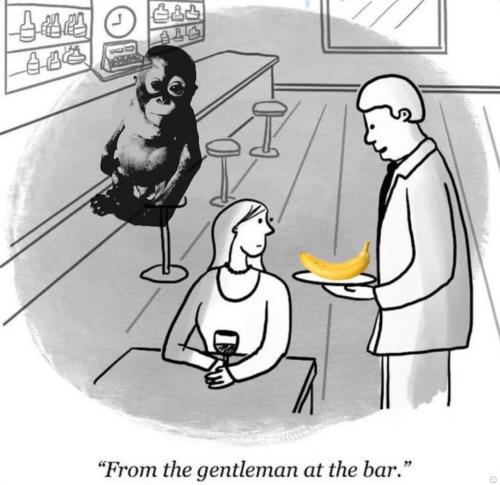 IMG_20251027_081731_464