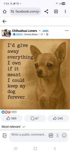 Screenshot_20251019_075452_Chrome