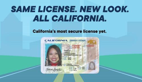 "Federal law prohibits non-citizens from voting in federal elections" 
Mr Hollywood  needs to be locked up in the clinker.