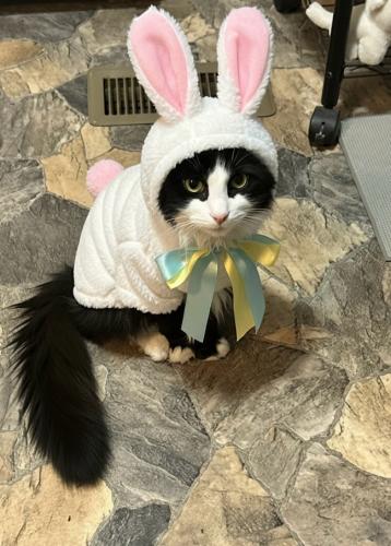 E95F90EA-88F3-40AF-BFB9-7084960213DD