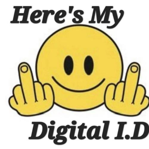 photo_2025-10-07_22-34-51