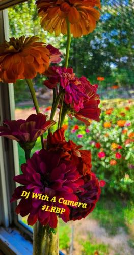 Screenshot_20251024_075632_Gallery