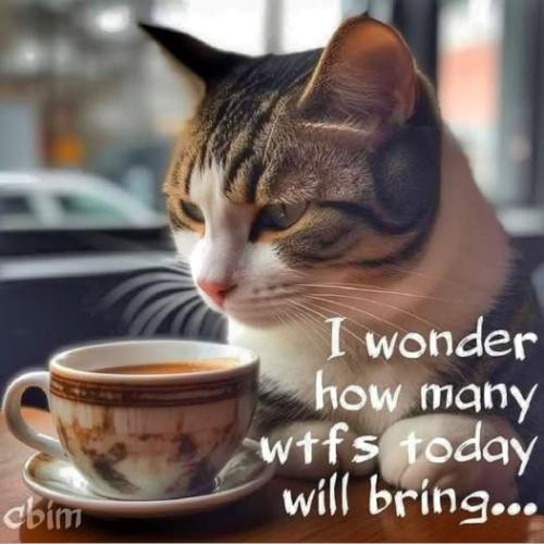 561832301_745413885192645_4683455776311963852_n