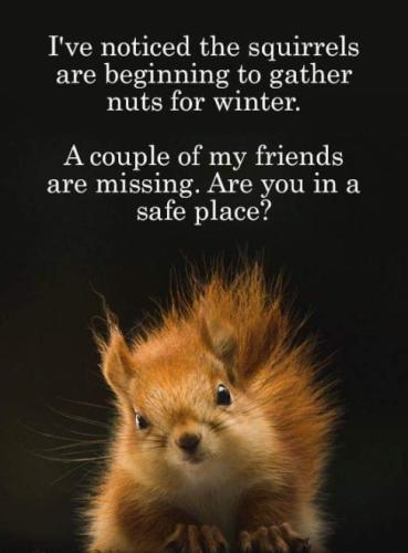 561637991_1439459004851419_1751874585834486521_n