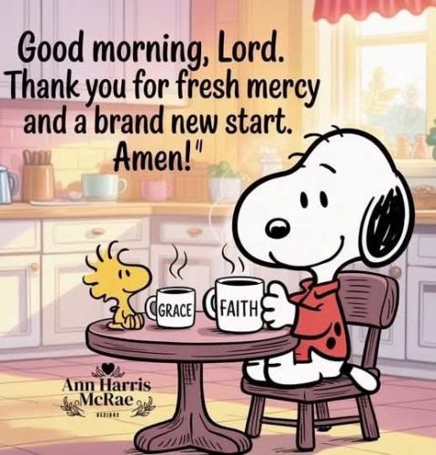 3e2a947ad400565906a6de06ad9369e7