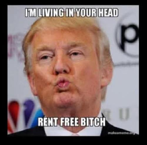 f98c6d31-e527-47a8-a551-82cca070d47b