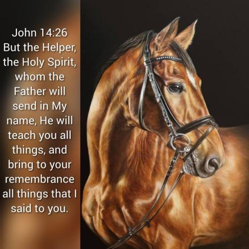 6e347f0be849a5c400e22abed0554bff