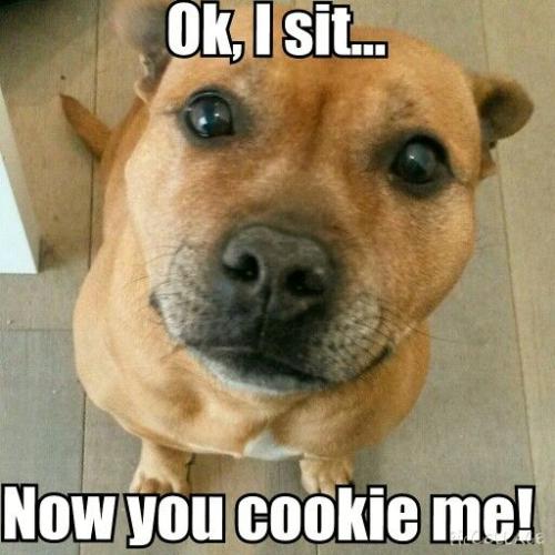 a4ef538c30bb8765e35aeefddacc68c8