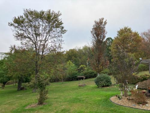 0202C93E-7379-492A-83EF-2B8694E12A09