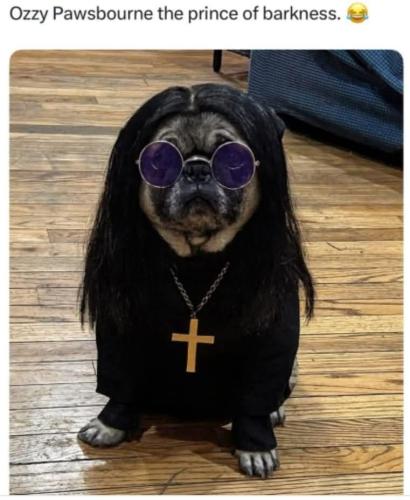 b0ce9f4c-6060-4bcb-8578-0d2c0507ec23